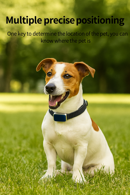 Connected GPS tracking collar for dogs or cats